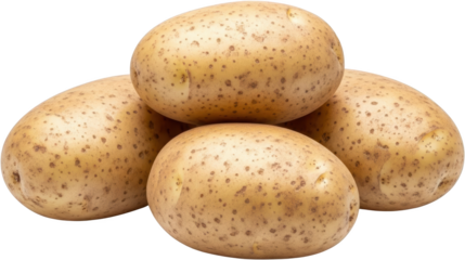 A small pile of four raw whole white potatoes with lightly speckled brown skin piled together isolate 156 characters Tuber Vegetable Produce Starch Solanum tuberosum