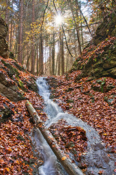 View of a sunlit stream cascading down a leaf-strewn slope through a dense forest, with a fallen log spanning the water, in Tajov, Banska Bystrica Region, Slovakia.