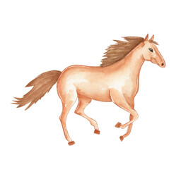 Horse running in a watercolor style on a plain background