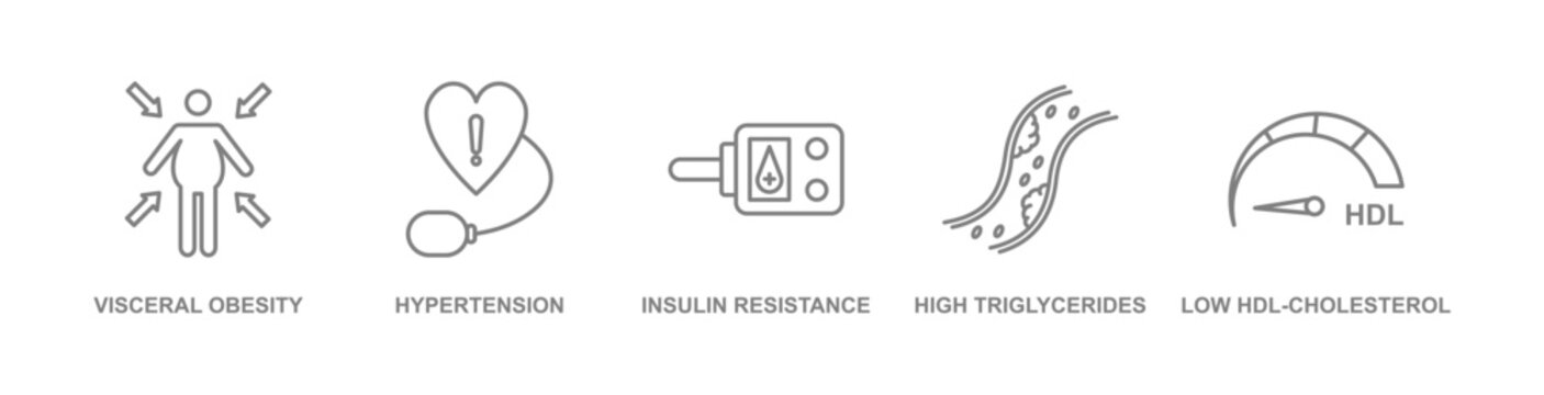 Metabolic Syndrome concept banner icon contain of visceral obesity, hypertension, insulin resistance, high triglycerides, and low hdl cholesterol vector illustration