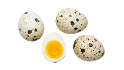 Isolated Quail Eggs and Halved Hard Boiled Egg as Easter Food and Delicate Gourmet Dish