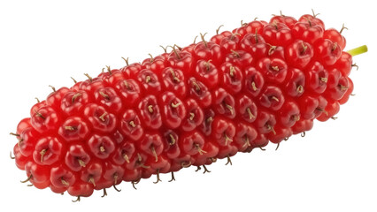 Isolated Red Mulberry Fruit Close-Up Fresh Berry Fruit Ingredient Vitamin Source Healthy Food