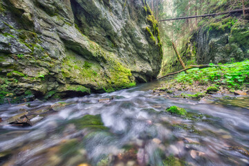 View of rushing water flows through a narrow gorge with mossy rocks and lush greenery, creating a serene yet dynamic scene, Hybicka Tiesnava, Zilinsky kraj, Slovakia.