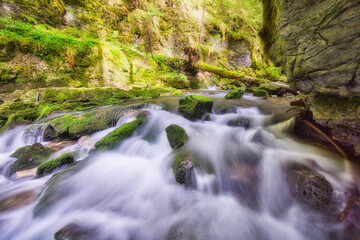 View of a stream cascades through a moss-covered gorge, sunlight filtering through the dense canopy in Hybicka Tiesnava, Zilinsky kraj, Slovakia.