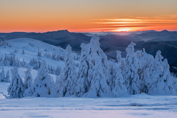 View of snow-laden evergreen trees stand majestically against a backdrop of rolling hills and a fiery sunset, Vidlica, Zilina Region, Slovakia.