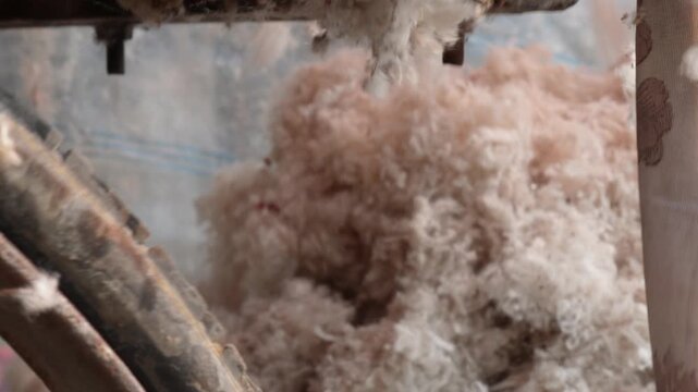 raw wool during processing 