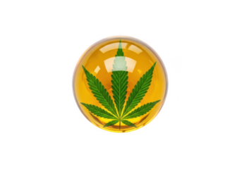 Cannabis leaf in oil capsule isolated on transparent background