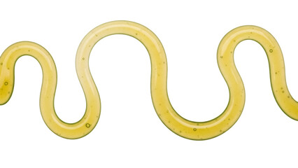 Golden honey swirl isolated PNG on transparent background, sweet liquid drizzle for food design and healthy eating concepts