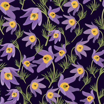 Pasque flower seamless pattern. Flat vector clipart, illustration with isolated background.