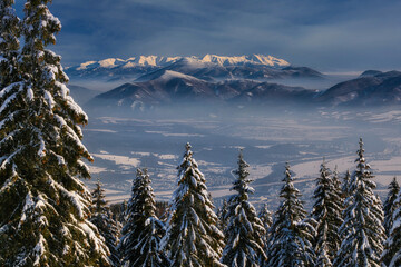 View of snow-covered evergreen trees frame a misty valley and distant, sunlit mountain range under a blue sky, Mala Fatra, Zilina Region, Slovakia.