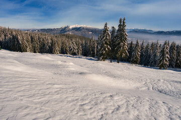 View of a serene winter landscape with snow-covered fields and evergreen trees against a backdrop of mountains, Mala Fatra, Zilina Region, Slovakia.