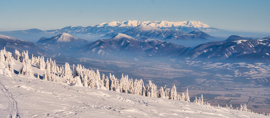 View of snow-laden trees in the foreground frame a majestic panorama of mountain peaks under a clear sky, Mala Fatra, Zilina Region, Slovakia.