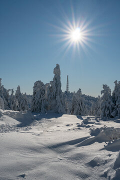 View of sun-drenched snow blankets the landscape, coating trees and rocks in a thick, white layer, contrasting with the clear blue sky and a distant tower, Mala Fatra, Zilina Region, Slovakia.