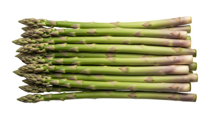 Isolated bunch of fresh green asparagus spears aligned on a plain surface, ready to cook