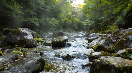 Obraz premium A clear, pristine mountain stream flows over moss-covered rocks