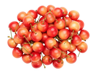 Isolated Rainier Cherries Heap, Fresh Summer Fruit With Stems, Red, Yellow, and Pink Tone Color