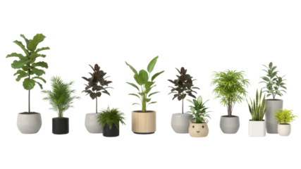Set of Various Green Potted Houseplants 3D Render Isolated on White Background for Design
