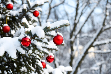 Christmas toys hanging on a snowy fir branch