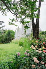 Modern White Gable Houses in Lush Garden with Blooming Roses