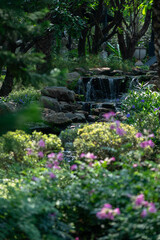 Small Tropical Waterfall in a Lush Green Garden with Purple Flowers