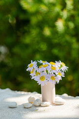 Small White and Purple Daisy Flowers in Vase on Table with Green Bokeh Background