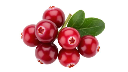Isolated cluster of fresh cranberries with green leaves, a delicious and healthy berry