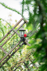 Vintage Garden Lantern on Metal Arch with Red Rose and Greenery
