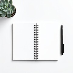 Open spiral-bound notebook, blank pages, black pen, and succulent plant