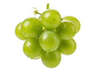 Isolated cluster of green grapes on the stem ready to eat healthy and nutritious snack