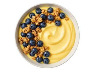 Isolated bowl of vanilla pudding topped with fresh blueberries and granola for breakfast or dessert
