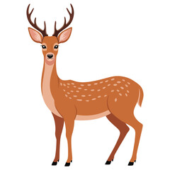 deer vector illustration