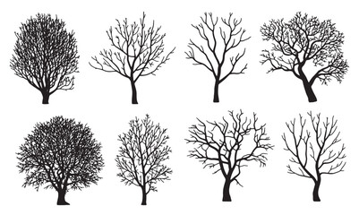 Obraz premium collection of eight diverse black silhouette trees without 