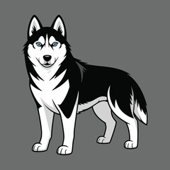 Fototapeta premium black and white dog