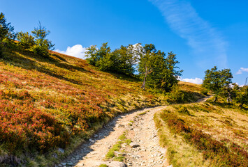 dirt gravel road winding uphill. hiking trail in carpathian mountain landscape under blue sky....