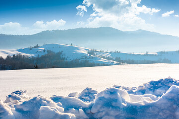 beautiful winter landscape with snow covered rolling hills under blue sky. majestic carpathian mountains on sunny day. frosty countryside scenery with snowy alpine meadow. remote region of ukraine