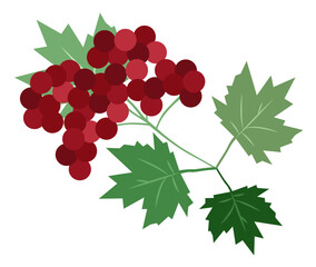 Ukrainian symbol. Viburnum illustration of a branch with berries and leaves.