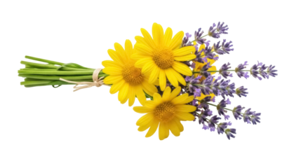 Isolated yellow daisies and lavender bouquet rests, a bunch of fresh cut flowers