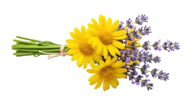 Isolated yellow daisies and lavender bouquet rests, a bunch of fresh cut flowers