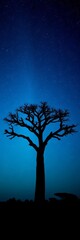 Fototapeta premium Silhouette of a lone baobab tree against a starlit night sky, mysterious, dark