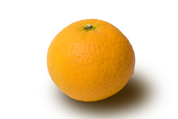 黄色く熟れた柑橘類