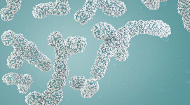 Bifidobacteria bacteria, probiotic microorganisms commonly found in the human gut microbiome. Intestinal flora, digestive health, beneficial bacteria, microbiology,  probiotic biomedical research, 3D