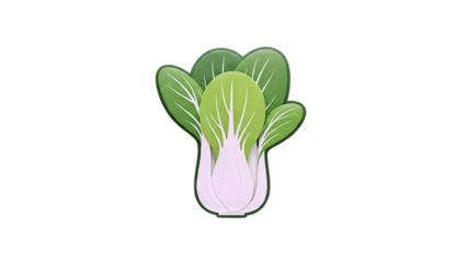 Bok Choy Illustration on White Background