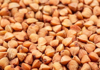 Hulled roasted buckwheat cereal kernels close-up. Food background.