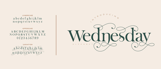 Luxury wedding alphabet logo font with tails. Typography elegant classic serif fonts and number decorative vintage retro logos branding. vector illustration © Love_Artist