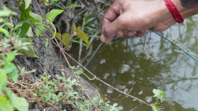 person potentially fishing using a hook and line