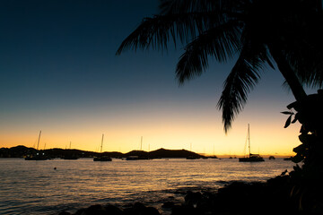 Sunset with a palm tree and sailboats in Grand Case, in the Caribbean island of Saint Martin (Sint Maarten), French West Indies