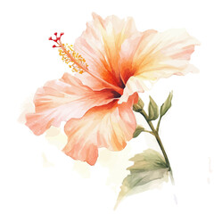 A Hand-painted style, vectorized, vector set available in EPS An Elegant watercolor painting design_Watercolor_style_painting_of_a_hibiscus_flower_on_a_white © Zizak