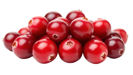 Isolated heap of ripe cranberries ready for baking and cooking for Thanksgiving day feasts
