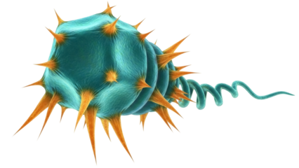 Isolated marine plankton with spines and tail, organism of the sea for biology concept