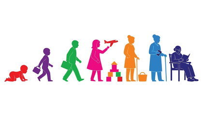 Life cycle stages of human development